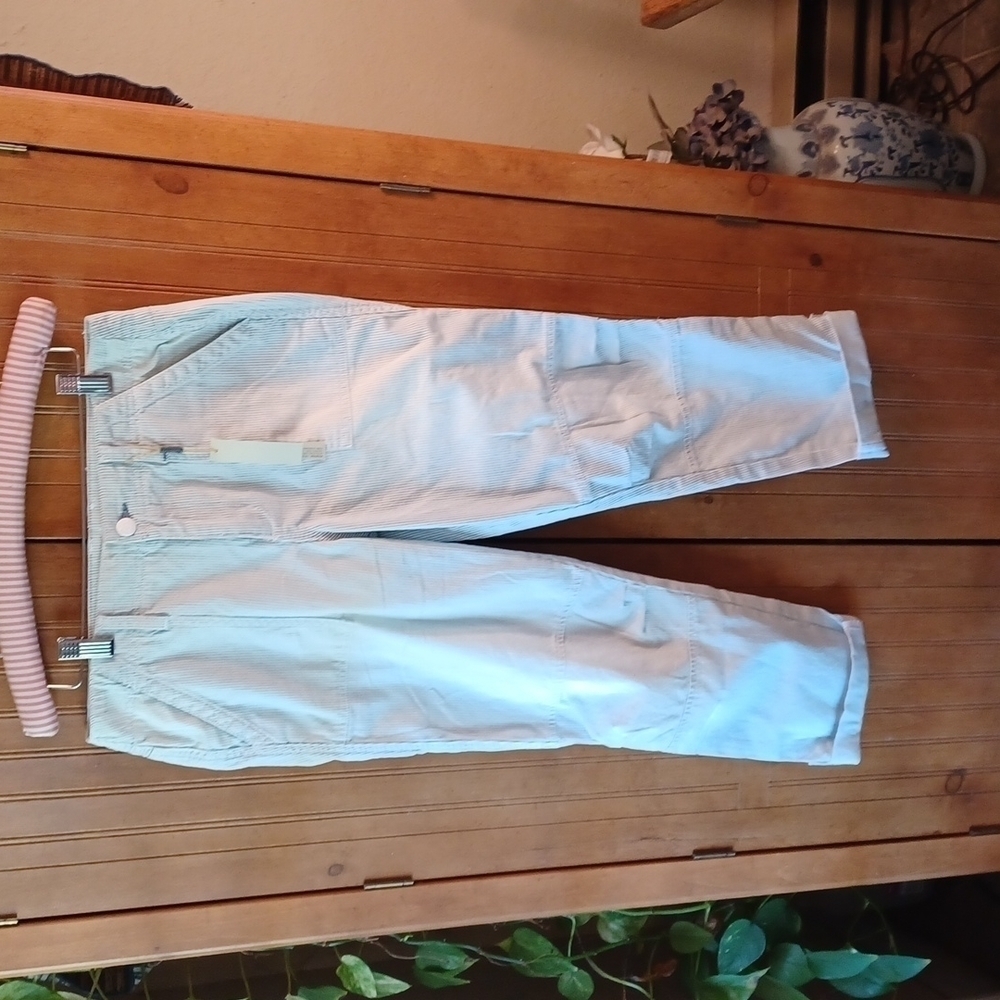 Nwt Level 99 Pin Striped Pants